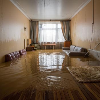 My San Francisco Water Damage Restoration